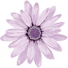 PERGIER 무료 아트웍 1