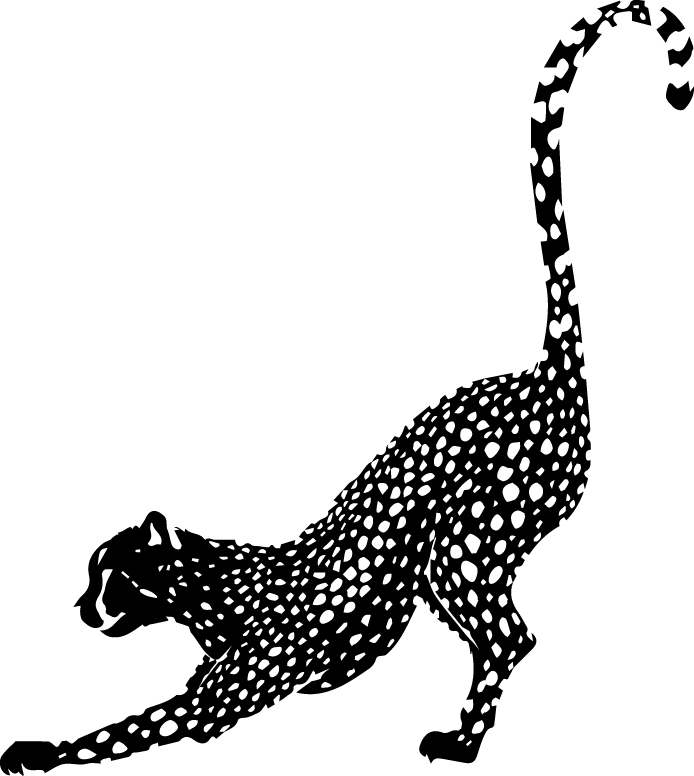 PERGIER 무료 아트웍 16