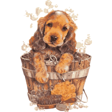 PERGIER 무료 아트웍 강아지8