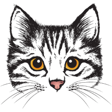 PERGIER 무료 아트웍 고양이6
